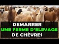 Voici 8 etapes pour commencer une ferme dlevage de chvre  succs en afrique