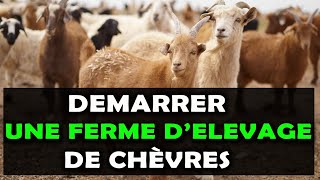 Voici 8 Etapes pour commencer une ferme d'élevage de chèvre à succès en Afrique