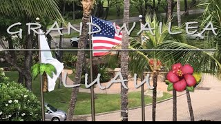 Hawaiian Luau at the Grand Wailea Resort - Maui 🌺