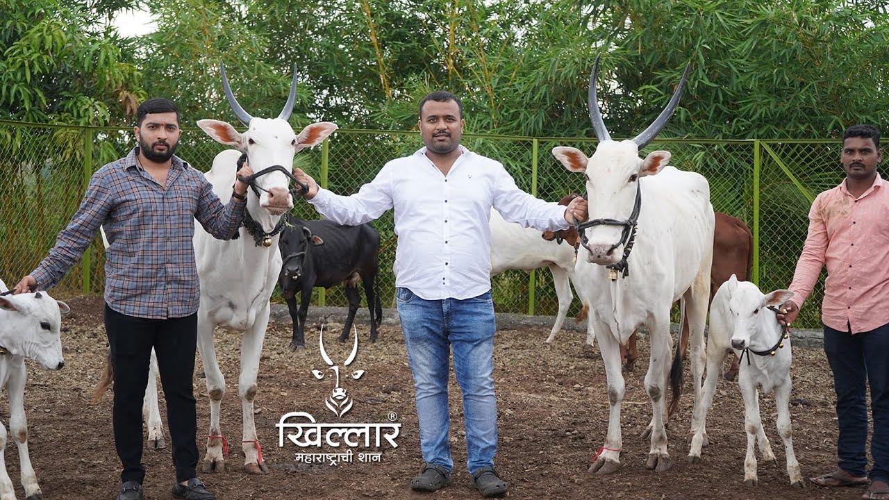 श्री. मयूर विलासराव काळोखे, तळेगाव दाभाडे - भाग 2 | Khillar Maharashtrachi Shaan | 2021