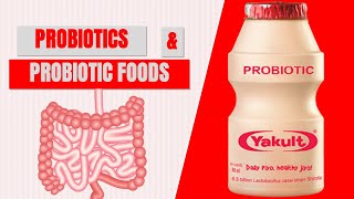 Probiotics Probiotic Foods Everything About Gut Health