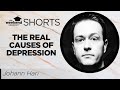 Johann Hari - The Shocking Truth About The Real Causes of Depression