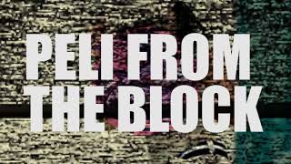 Pelikann - Peli From The Block Music Video