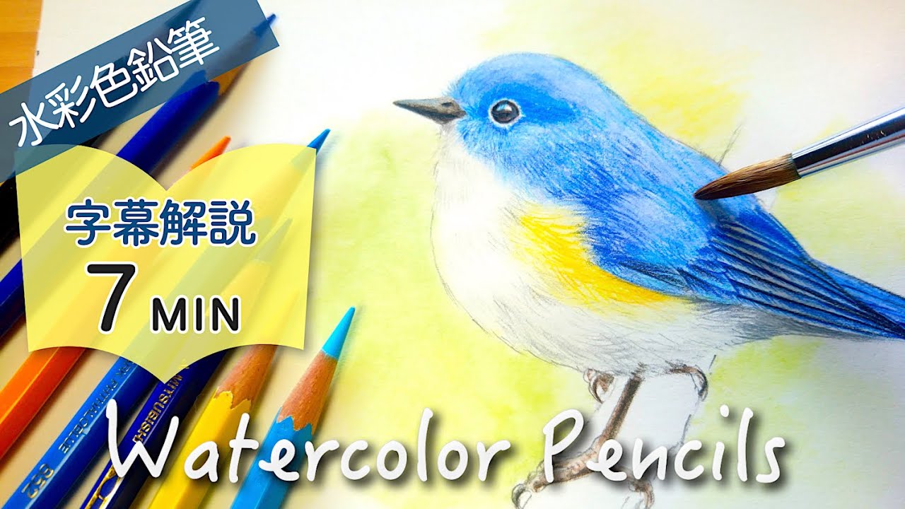 青い鳥の描き方 水彩色鉛筆 Drawing A Blue Bird With Watercolor Pencils Youtube