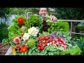 Massive Spring Garden Harvest 2022, Backyard Organic Gardening