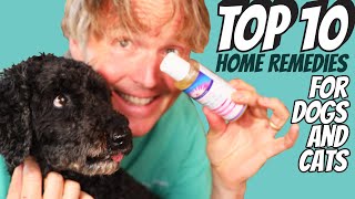 Top 10 Home Remedies for Dogs and Cats