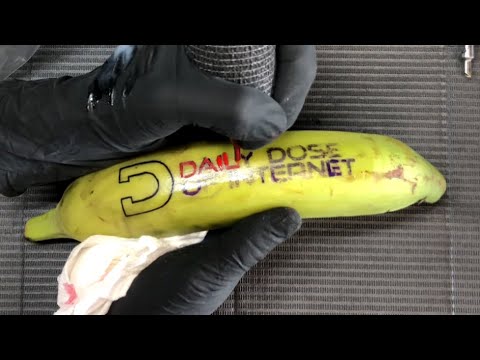 Giving A Banana A Tattoo