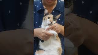 cả nhà ăn tối chưa nè 💖 bé tam tam chúc cả nhà buổi tối vui vẻ đăng ký kênh và ủng hộ cho con nhé 💖