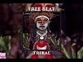 FREE BEAT Tribal Rap Type Beat Prod Vidorra FREE BEAT Tribal Rap Type Beat Prod Vidorra