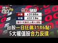 台股狂飆3186點創史上最大漲點！台積電罕見鎖漲停飆220元 5大權值股合力瘋狂反撲【理財密碼】