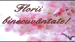 Florii binecuvântate! 🌷