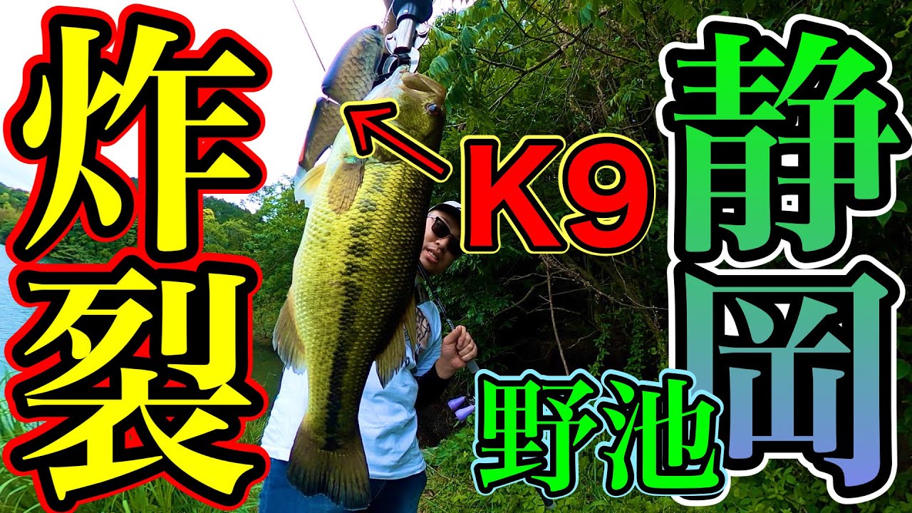 【静岡】野池でK9が炸裂した動画