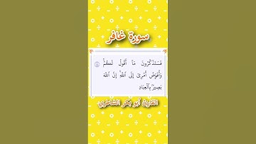 سورة غافر | الآية ٤٤ | القارئ أبو بكر الشاطري