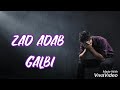 Cheb Nasro Zad Adab Galbi زاد عذاب قلبي