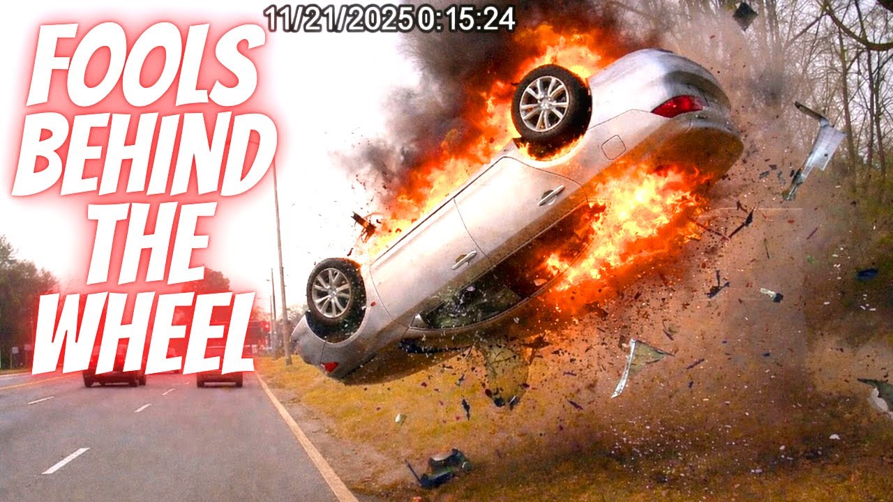 BEST OF THE MONTH (January)-Bad drivers & Driving fails -learn how to drive