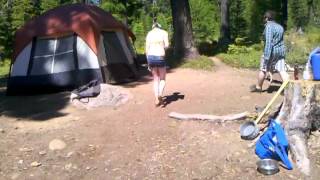 Air horn the drunk camping girl