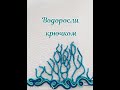 водоросли крючком, ирландское кружево