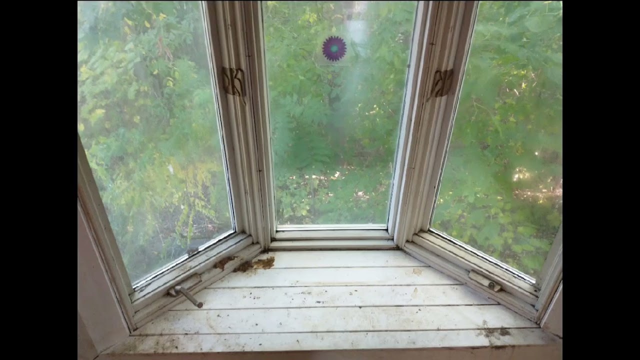 A look at the last 4 years of End-of-tenancy cleans at Regain Your Domain 