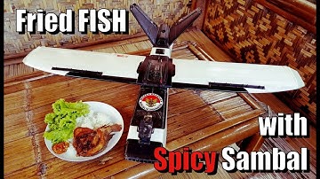 Breakfast Flight with ZOHD Talon GT REBEL