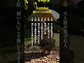 実は性格が超いい人の特徴#自己啓発 #名言