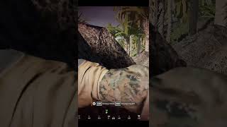 Have you guys ever played this map? #squad #squadgame