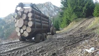 🌲Work with forestry trailer Palms 12d 2WD 840 Crane and Valtra 8350/Loading and unloading logs