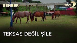 Rehber: Teksas Değil Şile