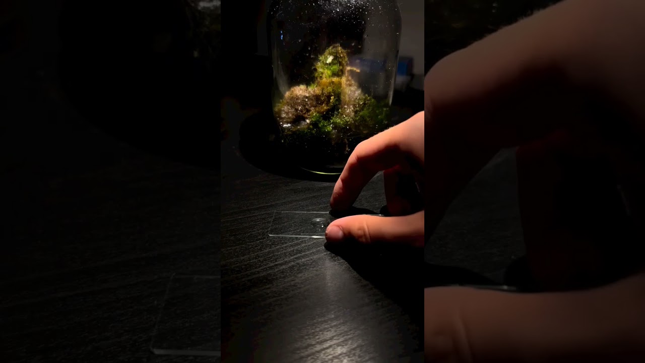 Decided to merge my hobby of exploring abandoned places with microscopy 😄