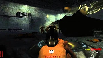 Custom Zombies: Hitlers Bomb Shelter part 1