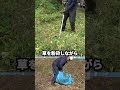ツムラ山林三枚刃 夏から晩秋の草刈りに最適