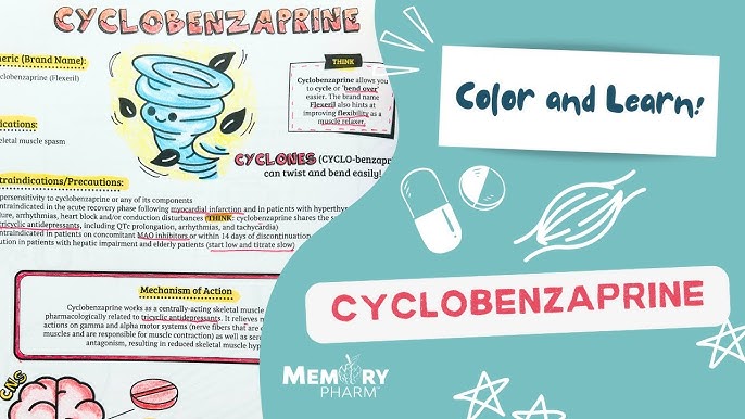 Flexeril Side Effects In Elderly: Essential Insights