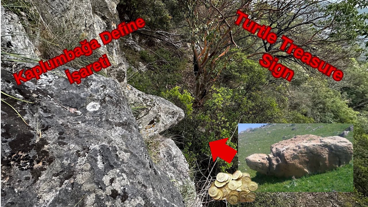 Нашао сам коцку пуну златника испод корњаче,