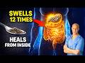 These Tiny Seeds Expand 12x In Your Body And Heal You From The Inside Dr Mandell