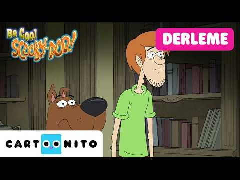 Gizemli Maceralar | SAKİN OL SCOOBY SOO | @CartoonitoTurkiye