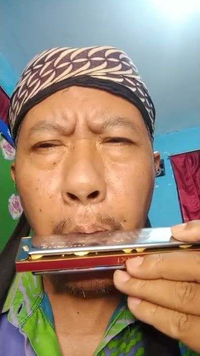 Harmonika Musik Terapi       My Heart Will Go on