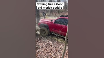 Nothing like a good old muddy puddle- #offroad  #toyota #2023