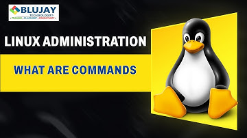 De beste Linux-opdrachten die je als beginner MOET kennen!