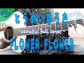 【歌詞付】とうめいなうた/FLOWER FLOWER(acoustic full cover)toumeinauta/フラワーフラワー