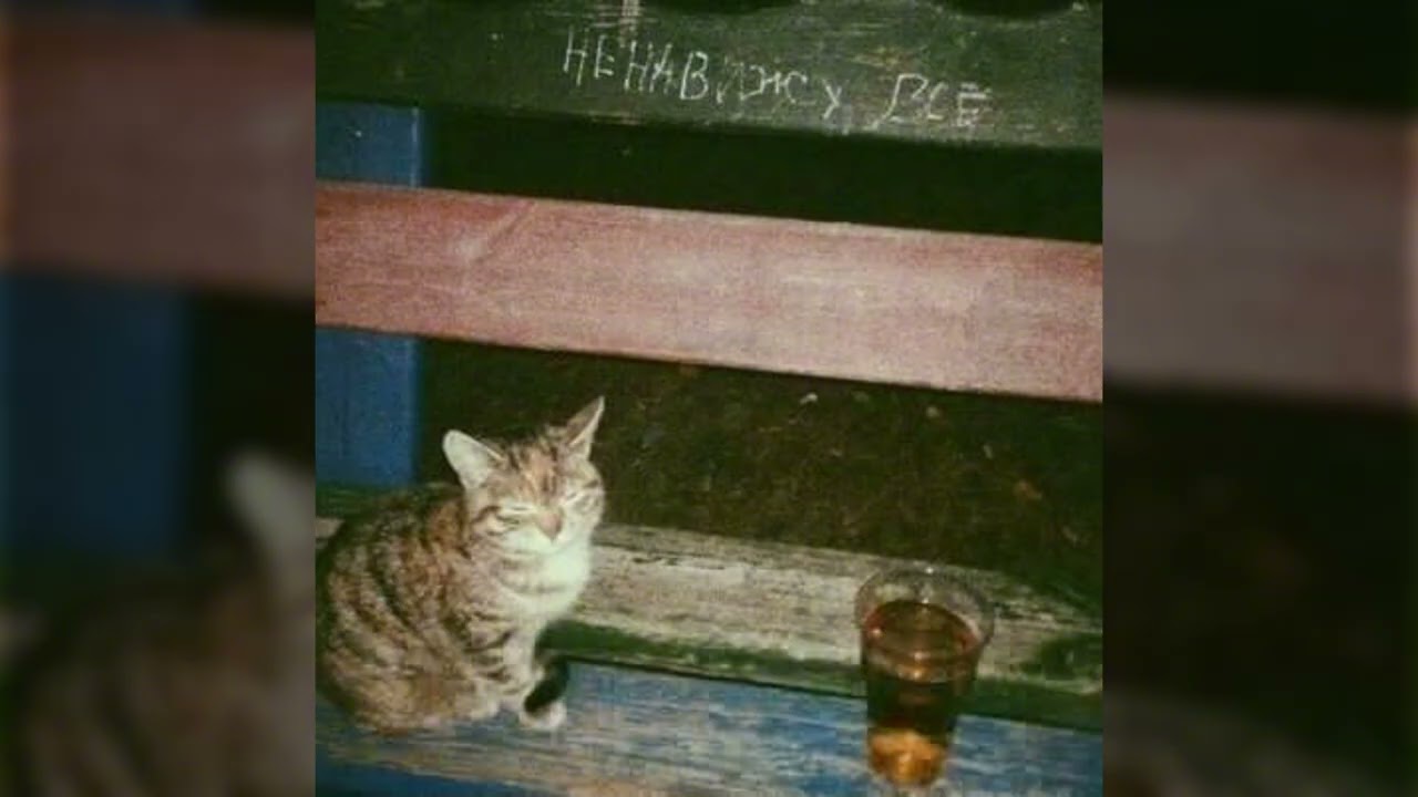 СЕРЕГА ПИРАТ - ГДЕ МОЯ НОГА (AI COVER)