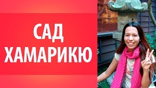 Сад Хамарикю. Япония. Достопримечательности Японии. Природа Японии.(Сад Хамарикю. Япония. Достопримечательности Японии. Природа Японии. http://goo.gl/BOzmHg - Получите бесплатный мини-к..., 2015-10-07T08:51:42.000Z)