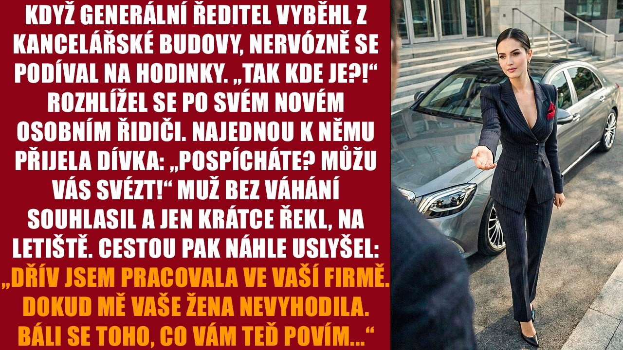 Zatrzymała się przy krawężniku i zaproponowała, że podwiezie mnie na lotnisko. Nie znałem jej. Powiedziała tylko, że kiedyś pracowała w mojej firmie. A potem, z lodowatym spokojem, dodała: „Pana...