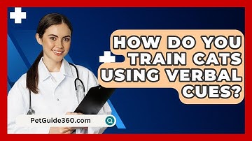 How Do You Train Cats Using Verbal Cues? - PetGuide360.com