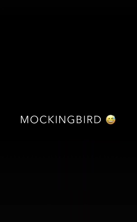 MOCKINGBIRD❣️/#ring#world#diamond#k