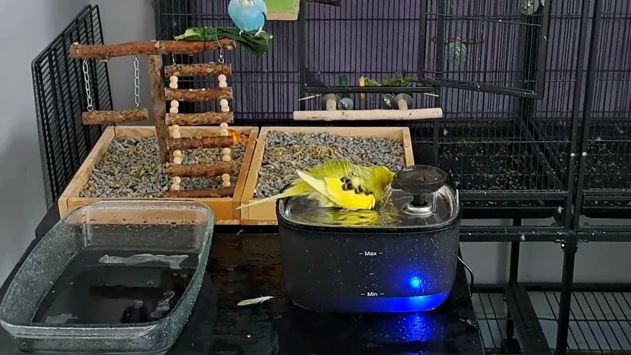 Another Bath Day, Pt 2