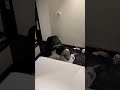 TUSIN vs KAZI playing to WWE