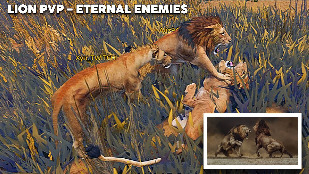 JUMPING and KILLING many LIONS in Eternal Enemies