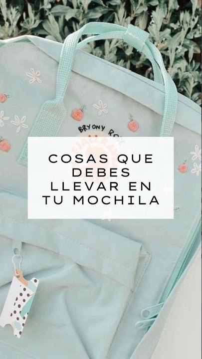 🍉•Cosas aesthetic para llevar en tu mochila a la escuela•🍉 