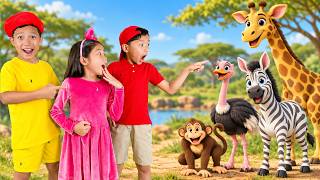 let s go zoo kids songs nursery rhymes nomad kids