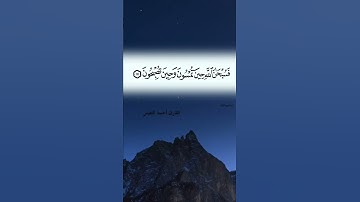 فسبحان الله حين تمسون وحين تصبحون. القارئ أحمد النفيس.