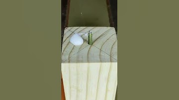 #shorts🥰😍🤩 Exclusive Tools-Tips Shorts 😐😑 Tools Hacks 💕💕